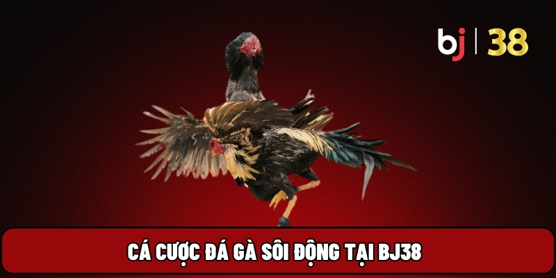 Đá gà
